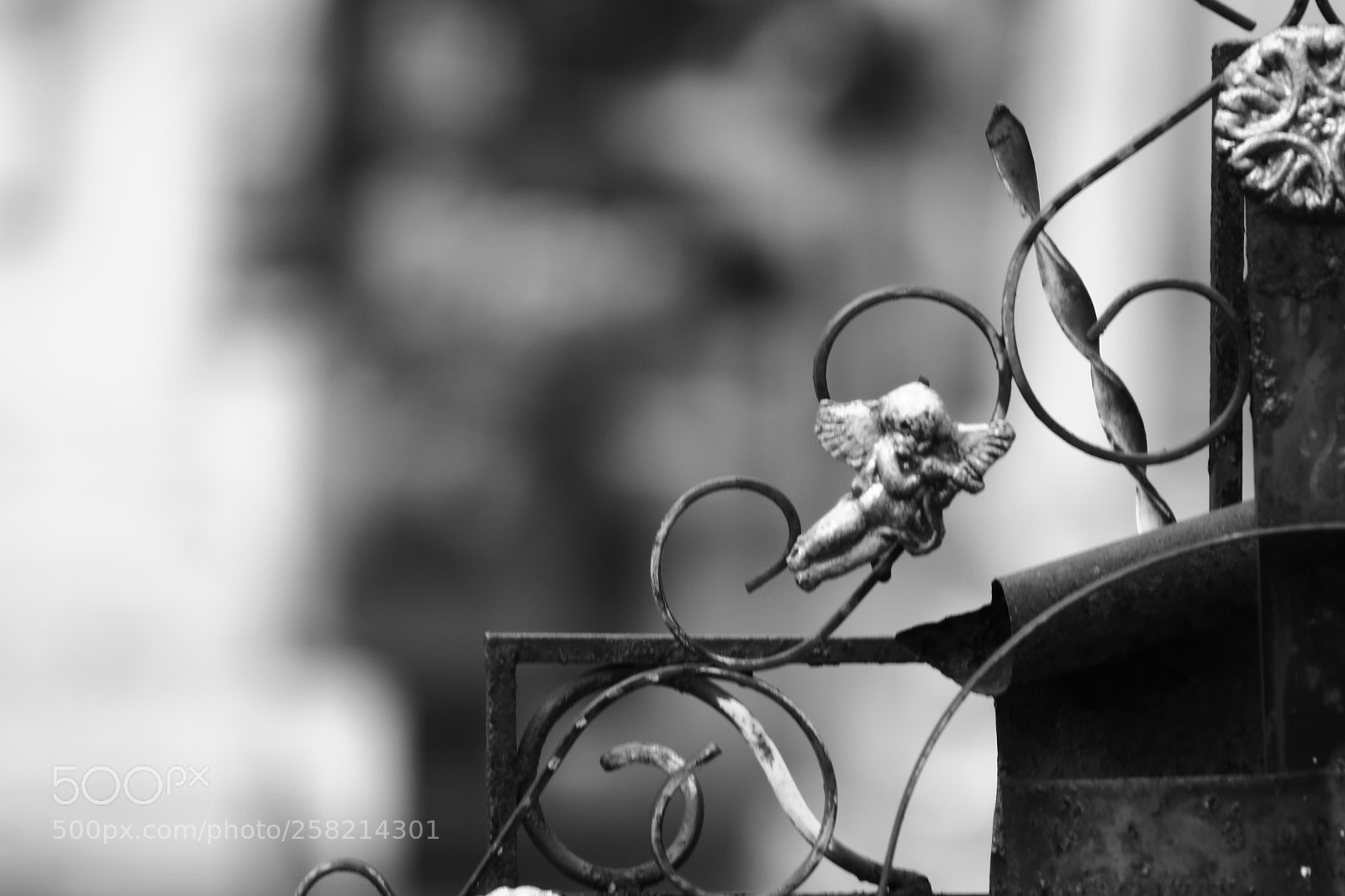 Canon EF 75-300mm f/4-5.6 sample photo. Angel photography