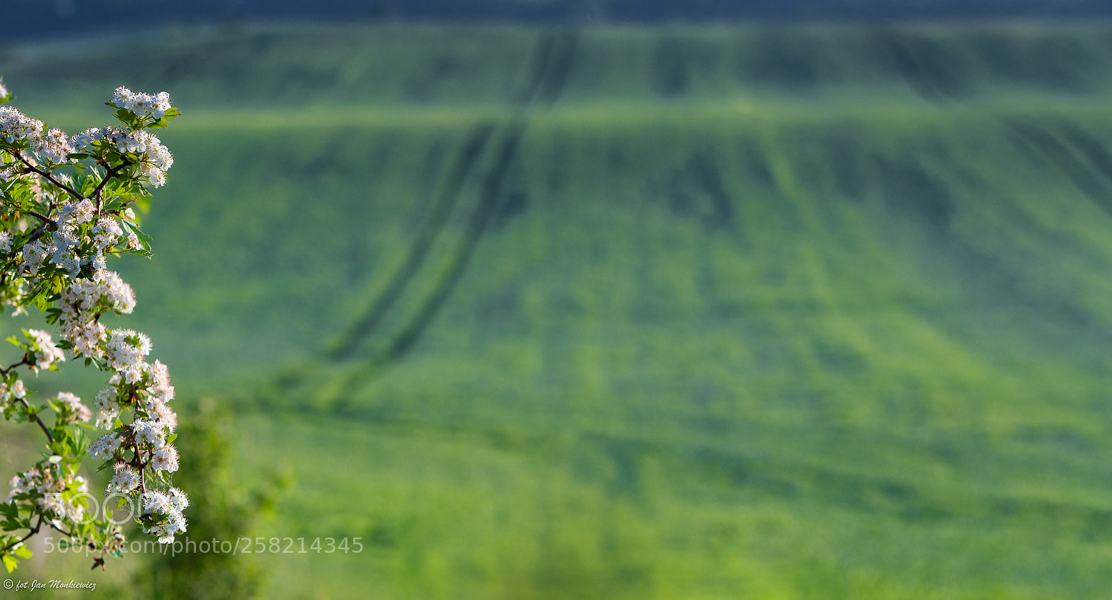 Canon EOS 6D sample photo. Untitled photography
