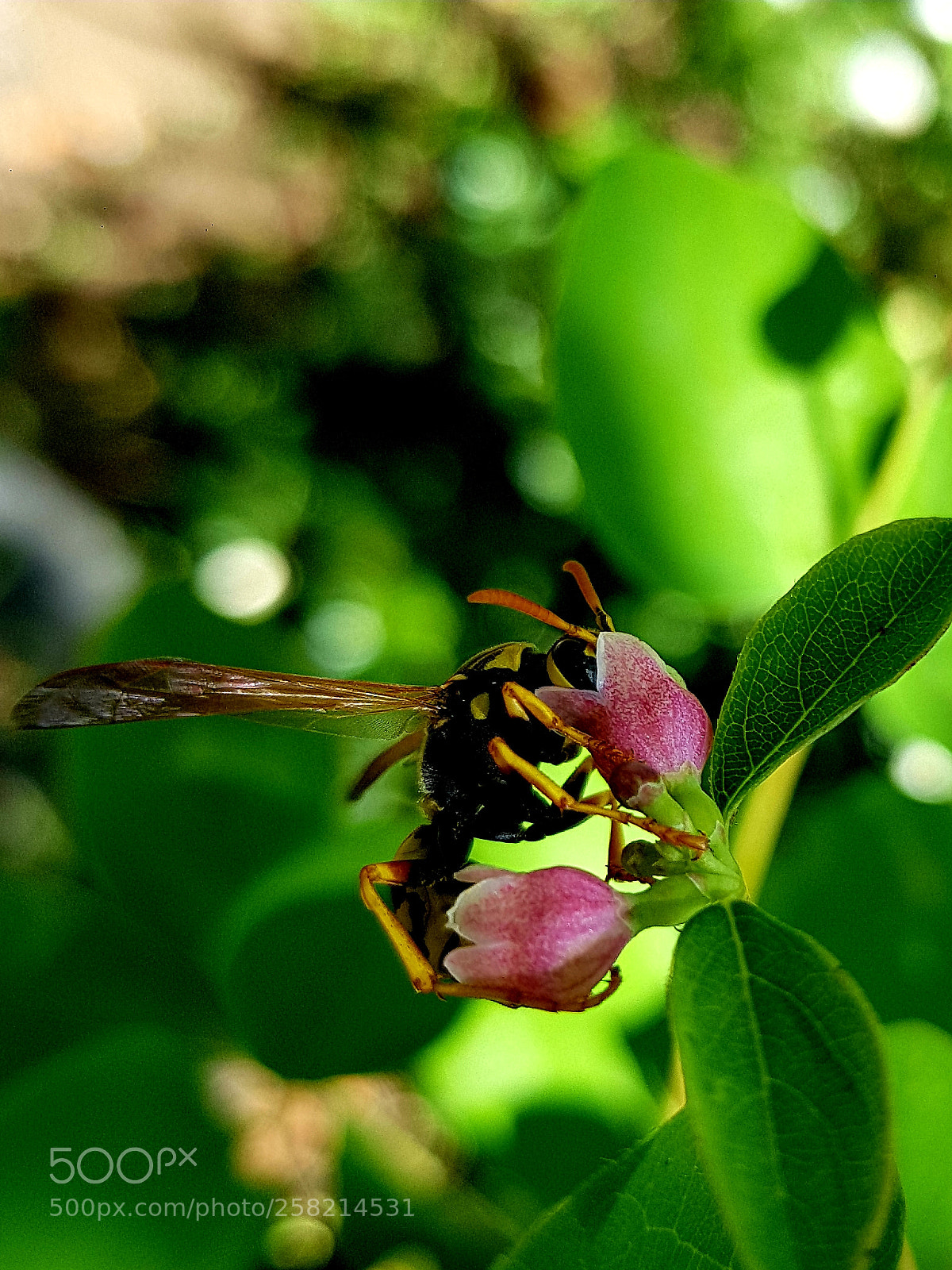 Samsung Galaxy S8 sample photo. Untitled photography