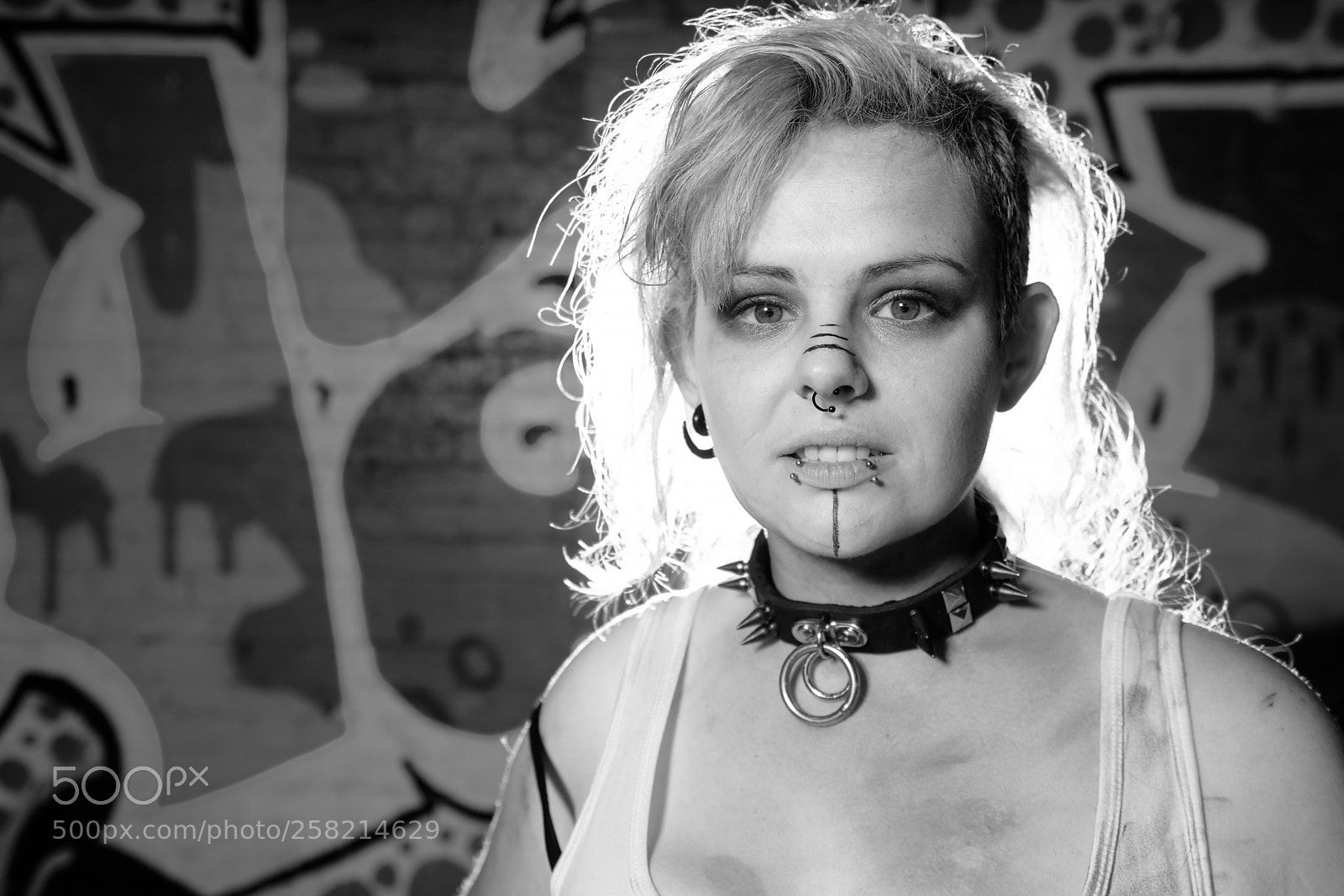 Sony a7 sample photo. Cat valkyrie  photography