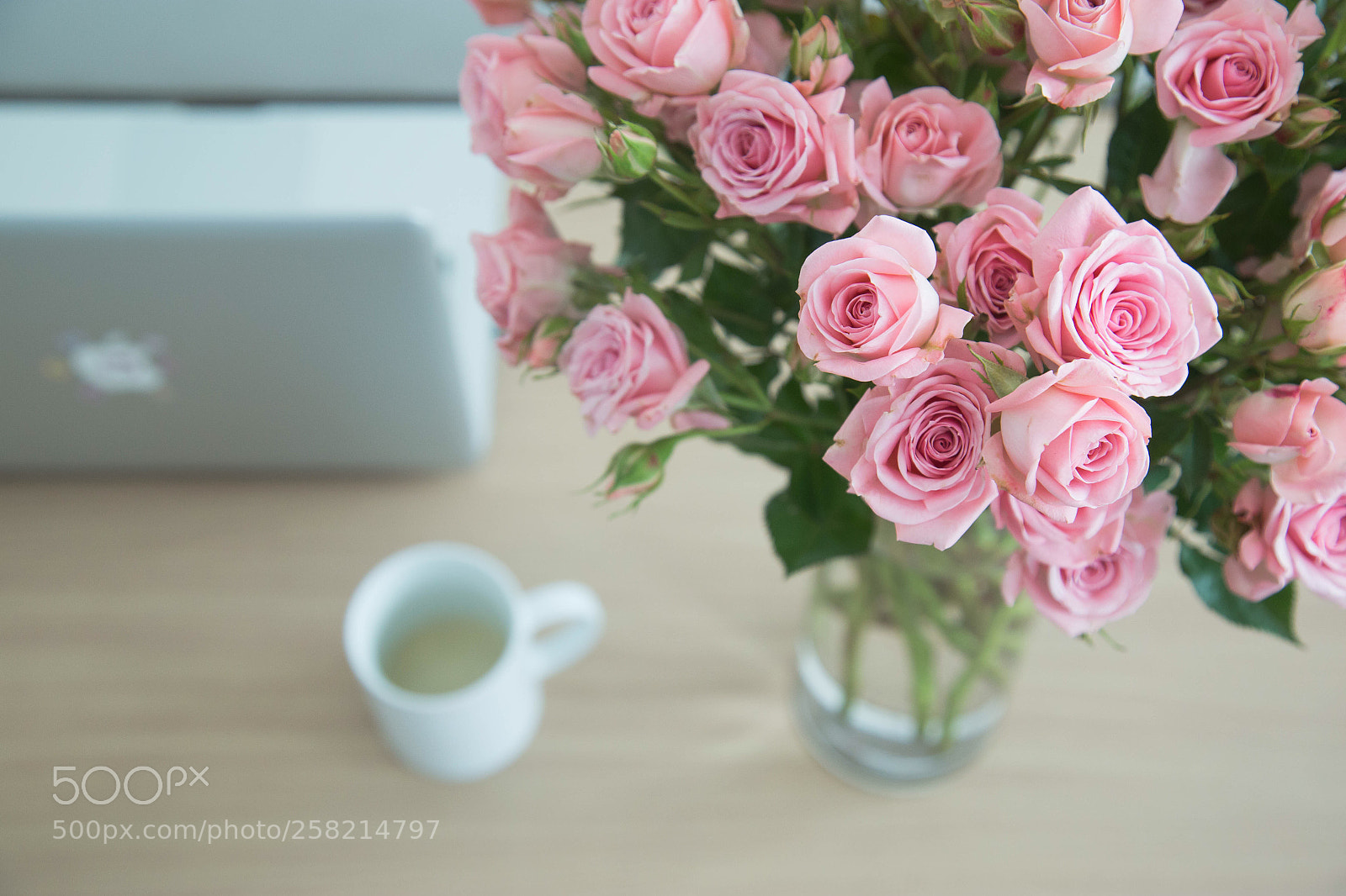 Canon EOS 6D sample photo. Current mood  photography