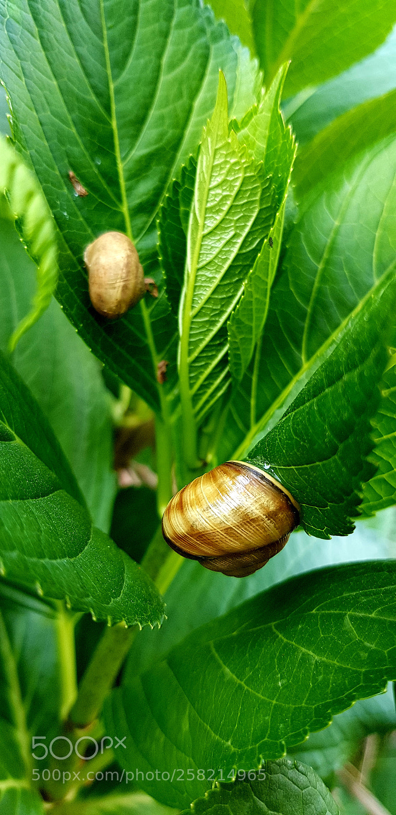 Samsung Galaxy S8 sample photo. Untitled photography