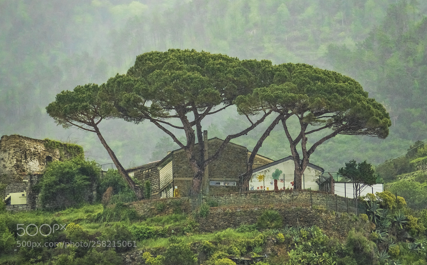 Sony Cyber-shot DSC-RX10 III sample photo. Umbrella over cinque terra photography