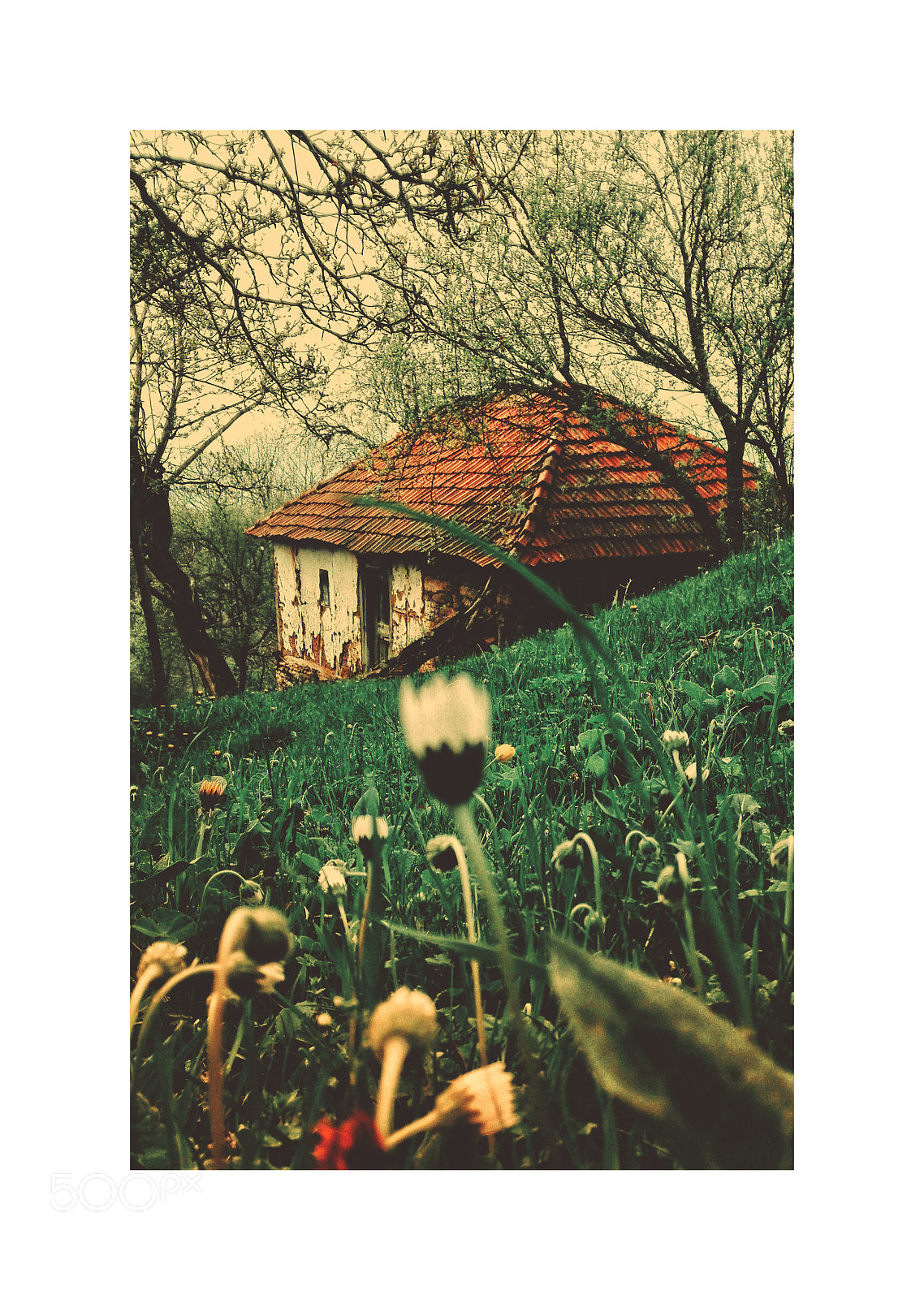 HUAWEI P8 Lite sample photo. Spring in dobrovnica, kriva photography