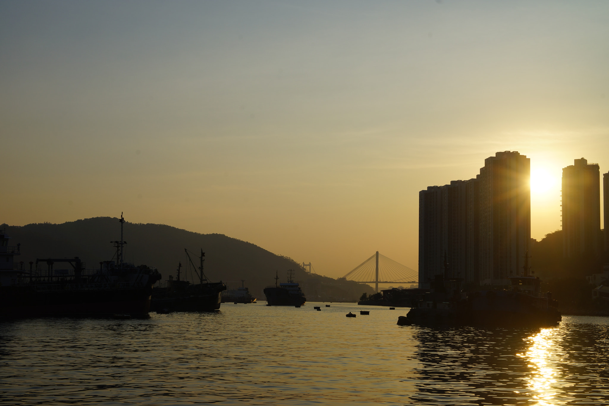 Sony SLT-A99V sample photo