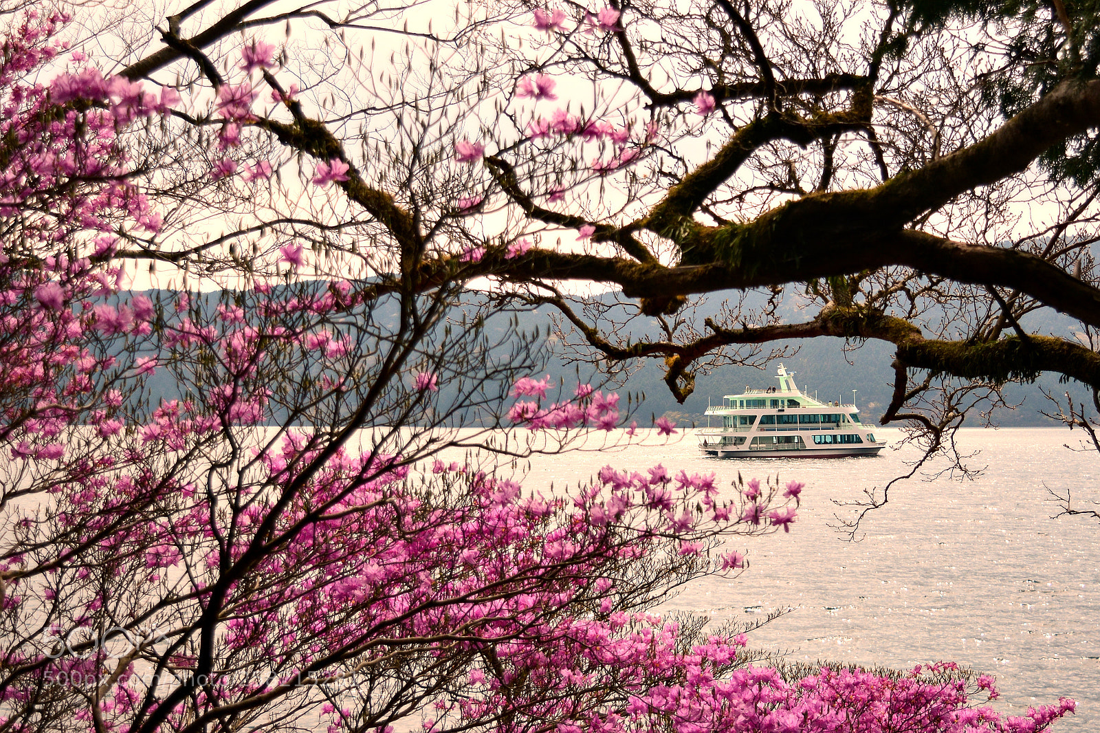 Nikon D5200 sample photo. Lake kawaguchi photography