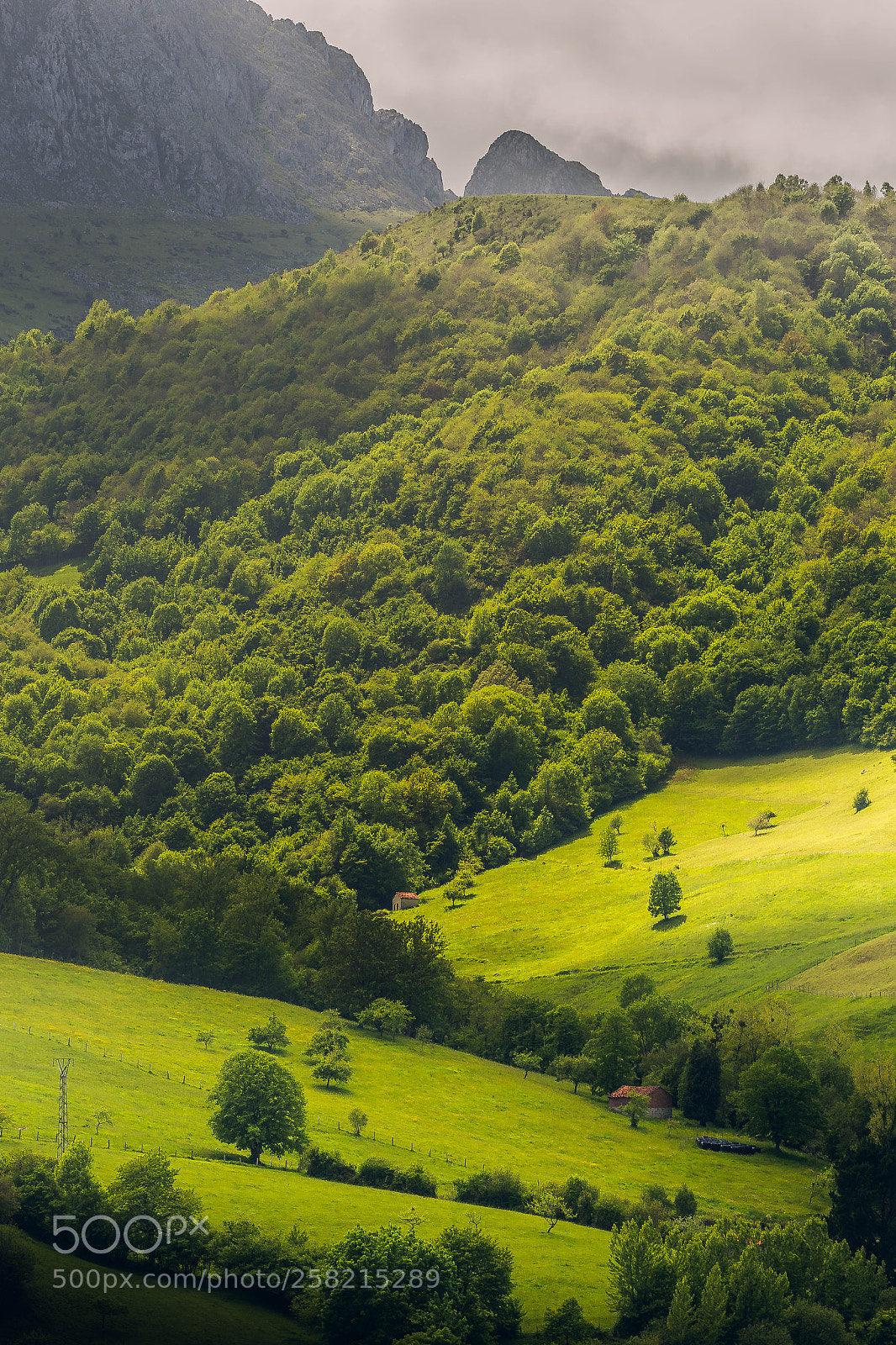 Canon EOS 6D sample photo. Cabrales photography