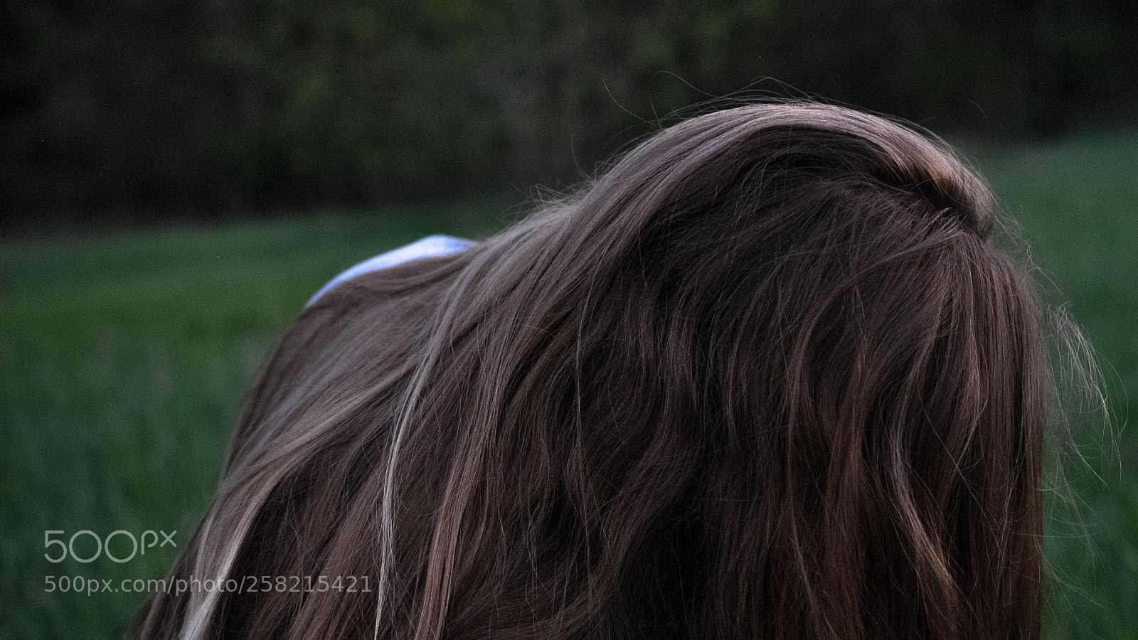 Nikon D3000 sample photo. Summer highlights photography