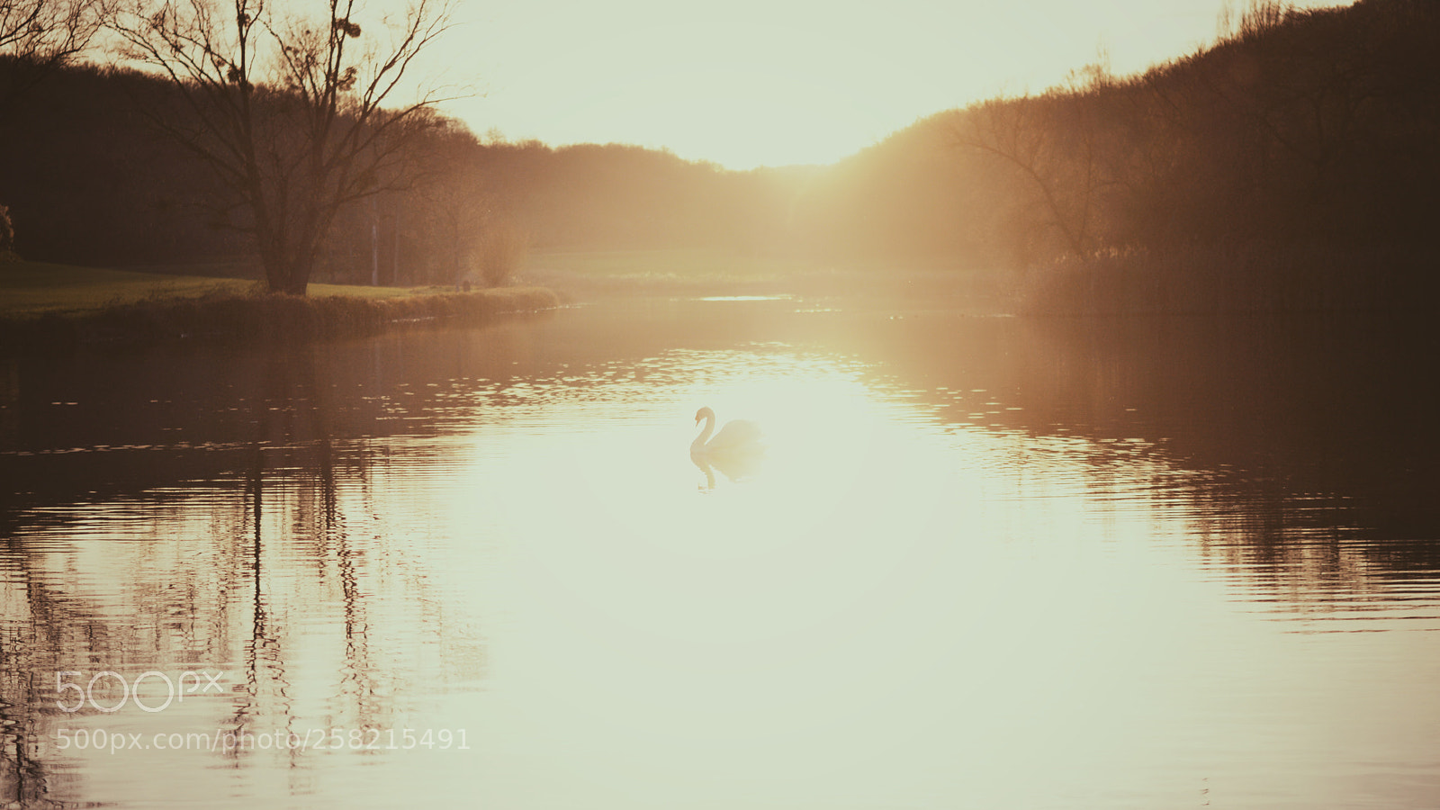 Nikon D3200 sample photo. Untitled photography