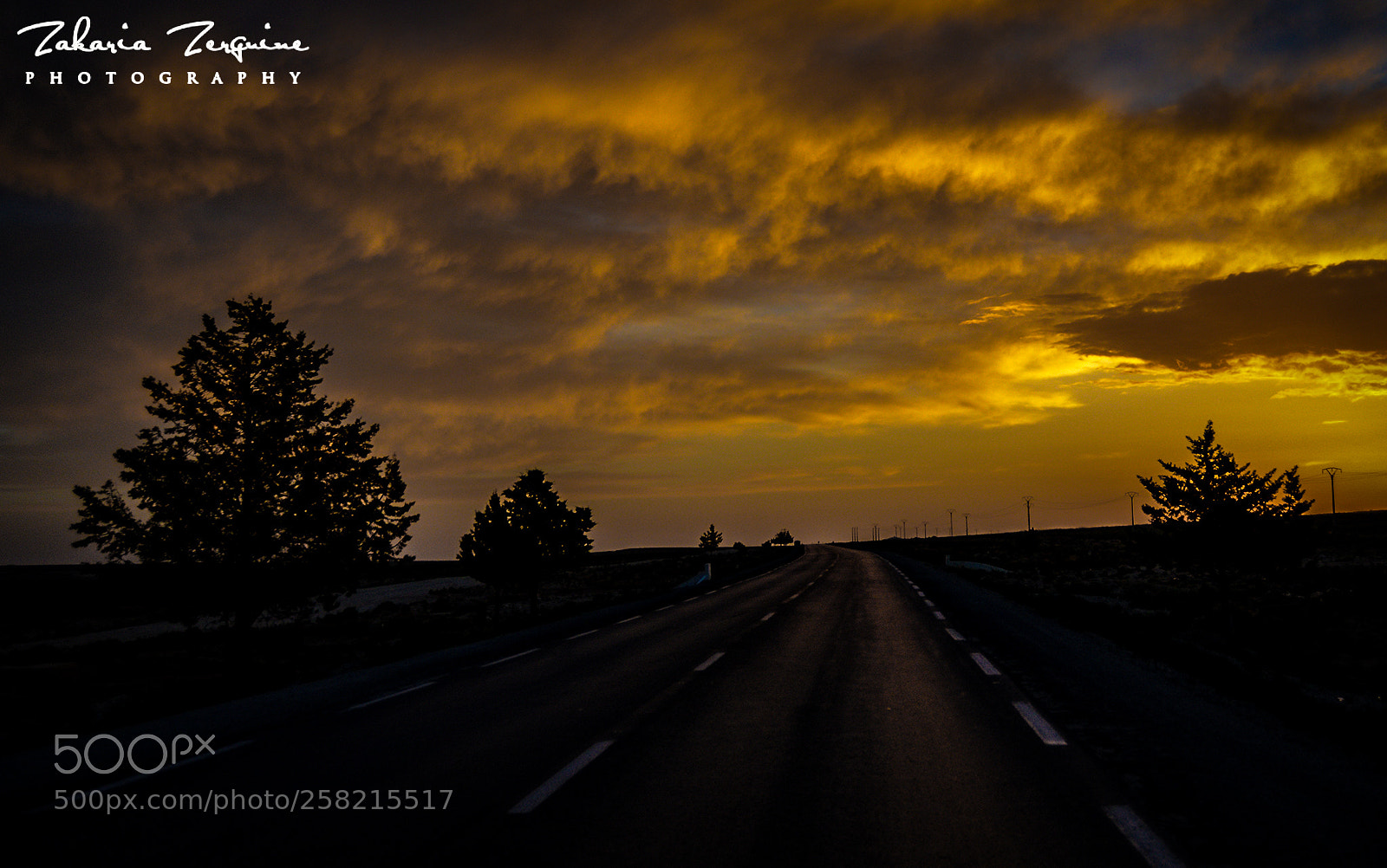 Nikon D800E sample photo. Untitled photography