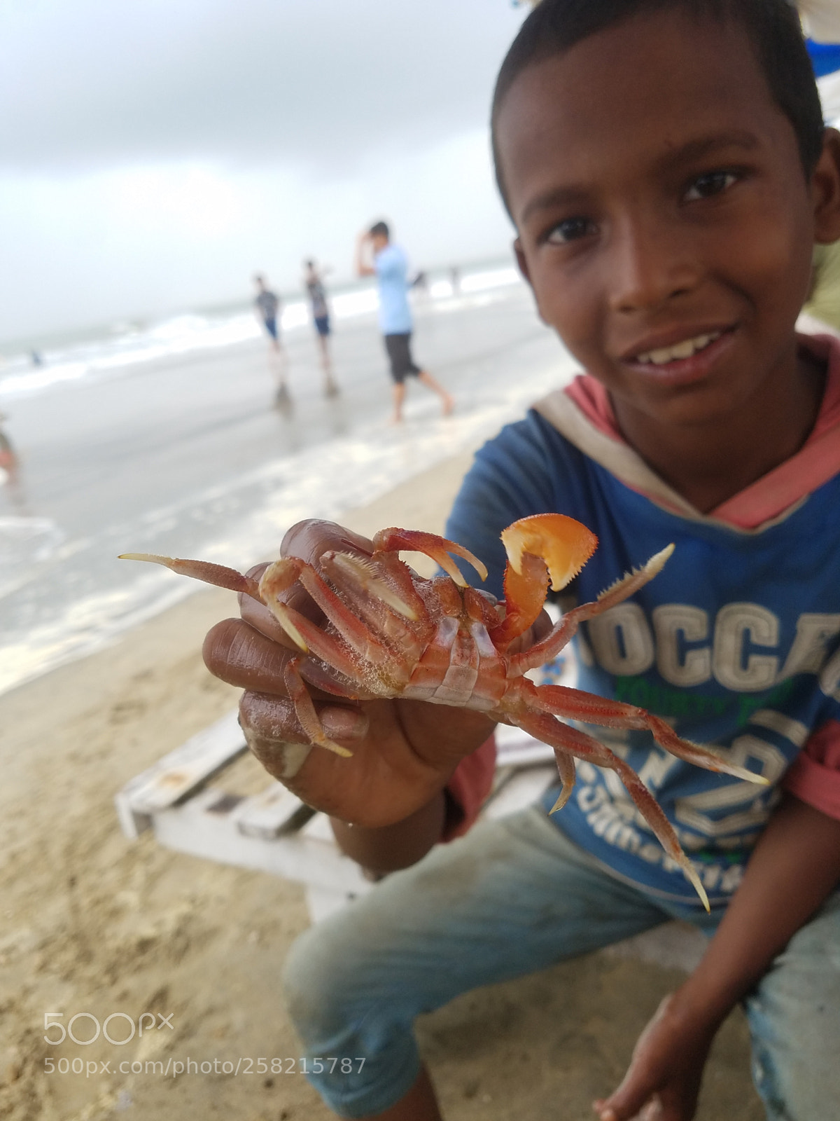 Samsung Galaxy S7 Edge sample photo. Crab photography