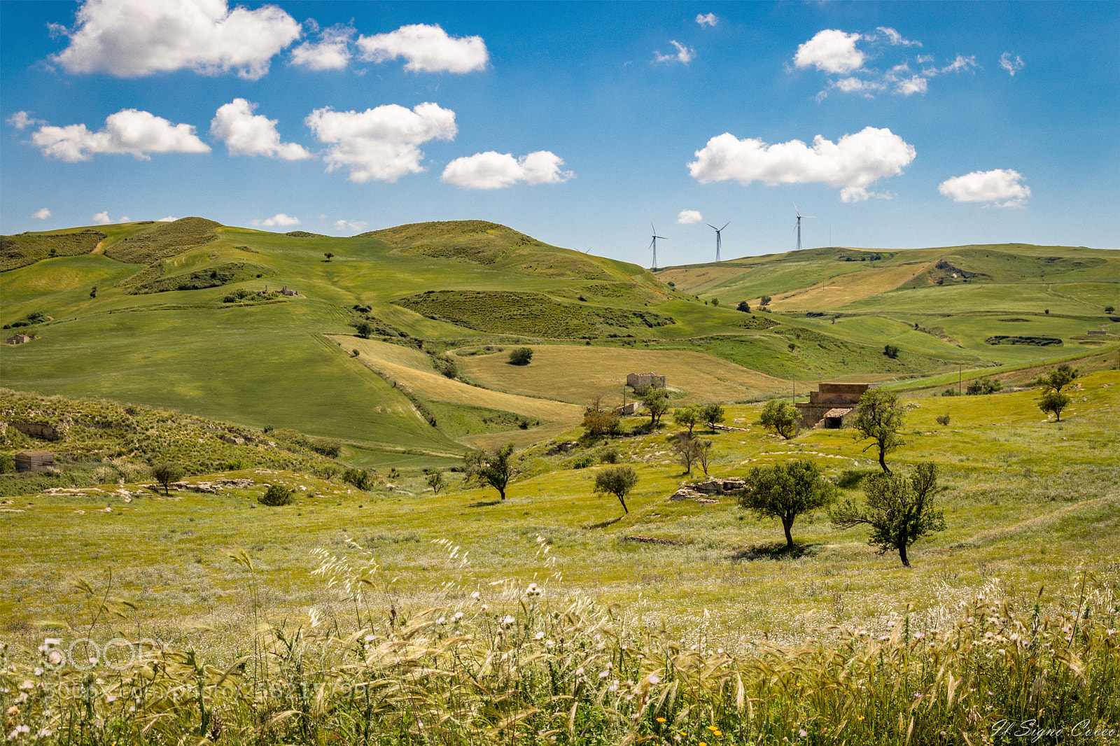 Nikon D3200 sample photo. The three giants photography