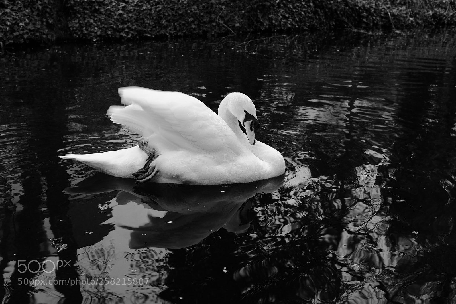 Fujifilm X100T sample photo. Colmar photography
