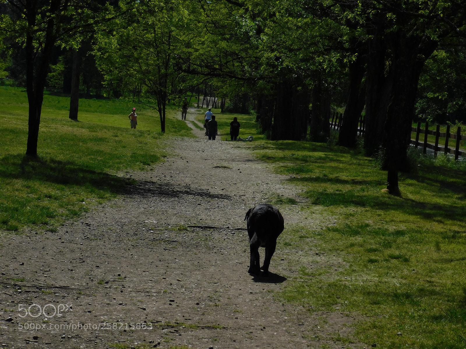 Nikon Coolpix B500 sample photo. Long walk home after photography