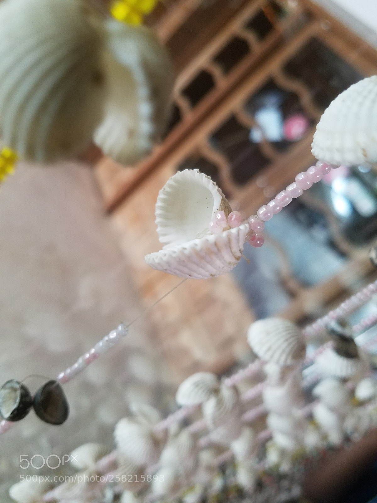 Samsung Galaxy S7 Edge sample photo. Sea shell photography
