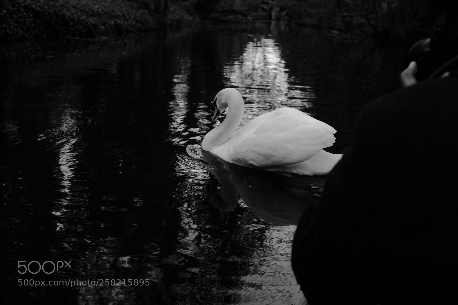 Fujifilm X100T sample photo. Colmar photography