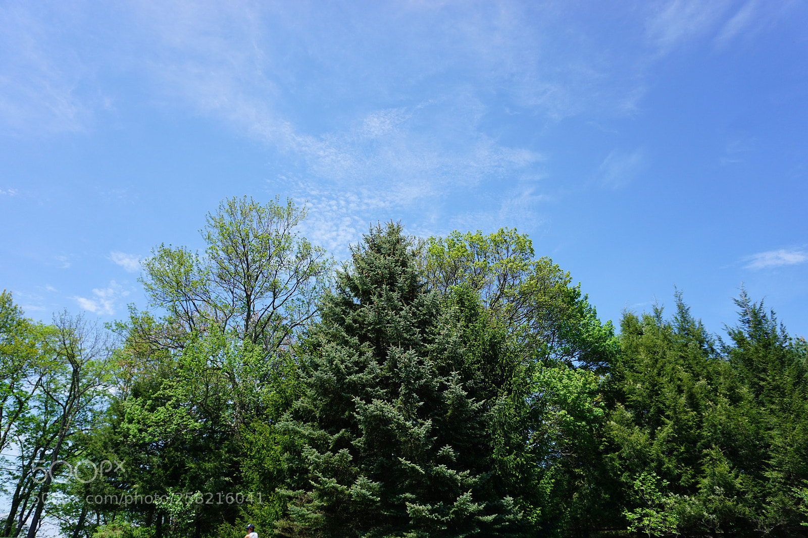 Sony a6000 sample photo. The land and earth photography