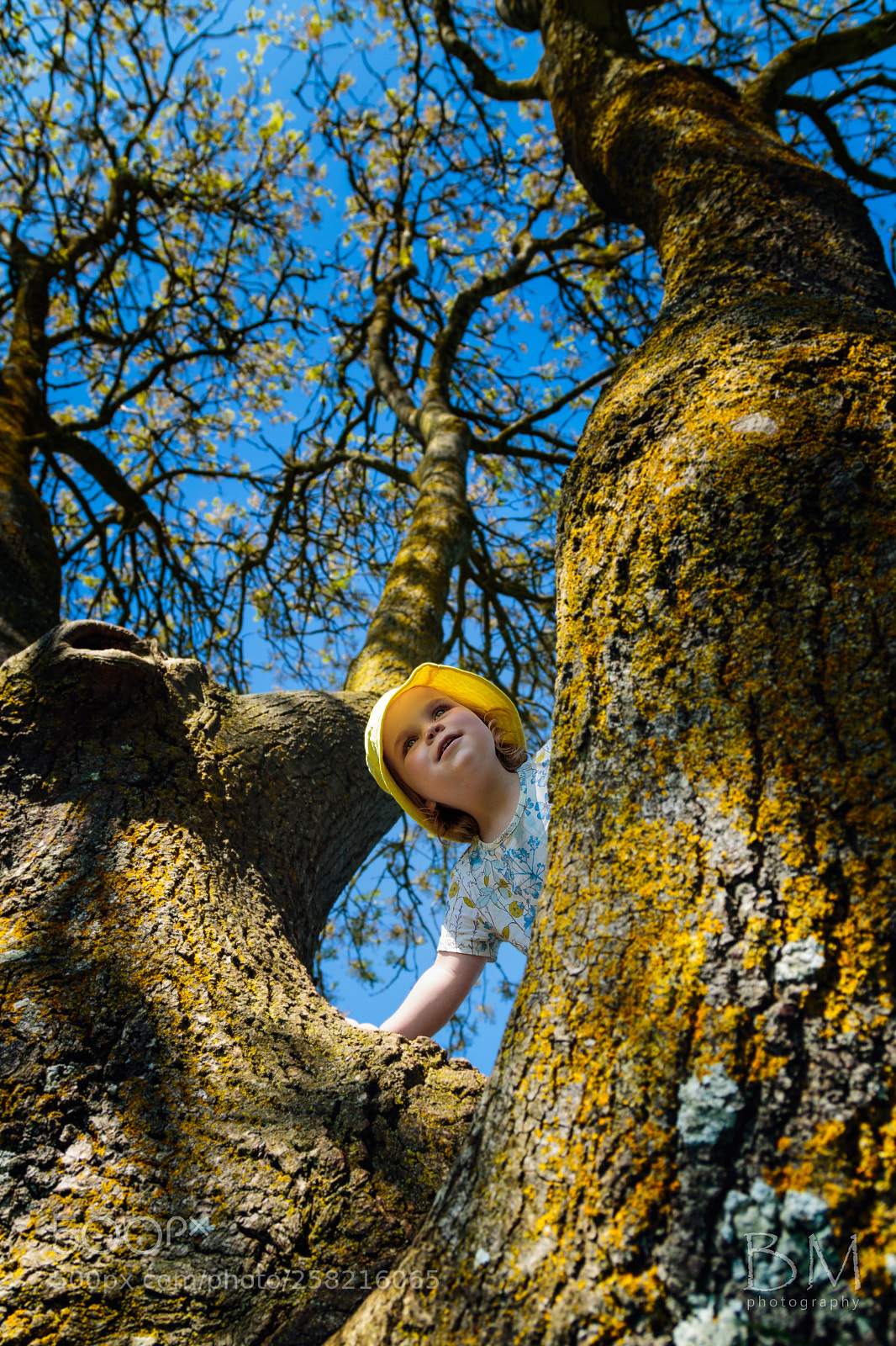 Canon EOS 7D Mark II sample photo. A little girl in photography