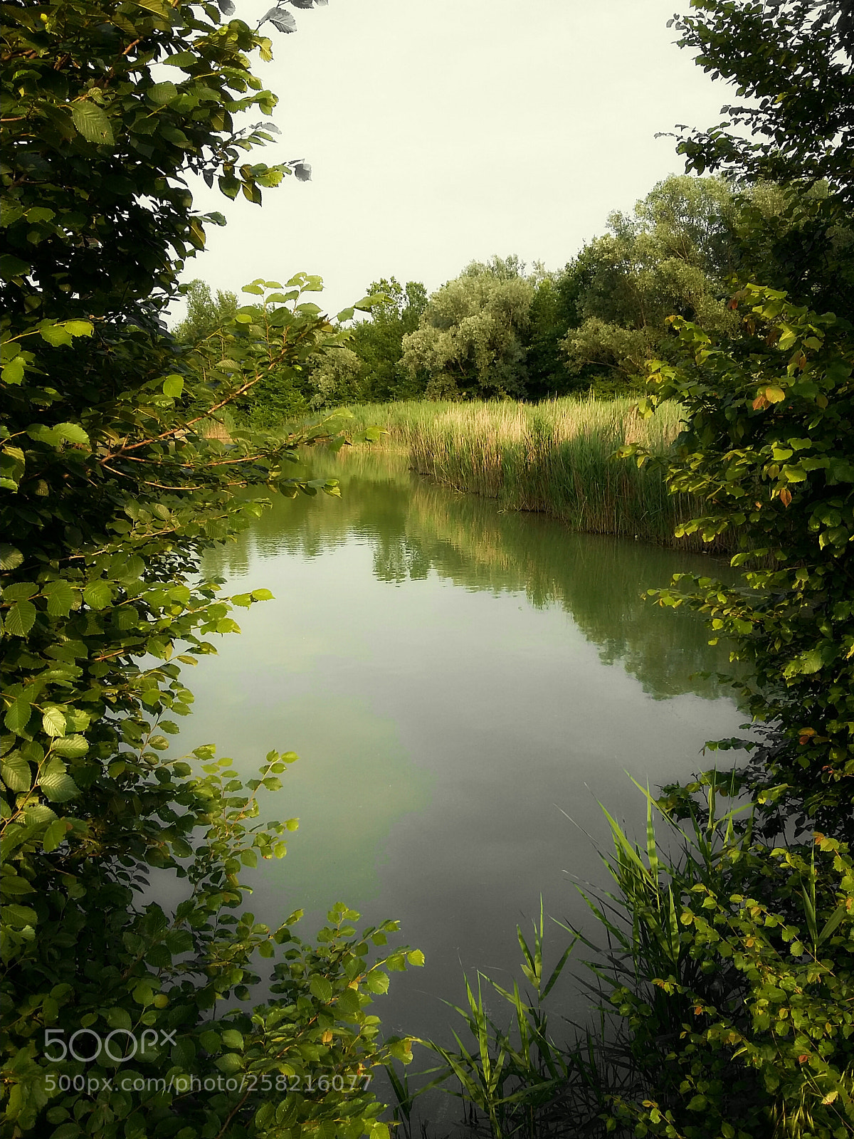 Samsung Galaxy Grand Prime sample photo. Untitled photography