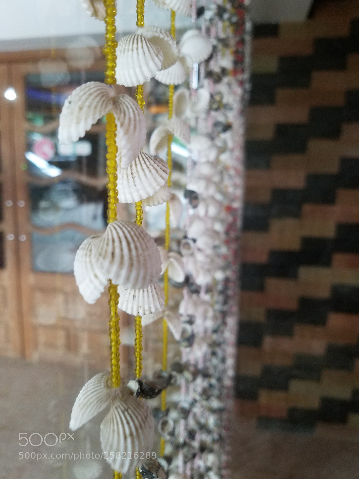 Samsung Galaxy S7 Edge sample photo. Sea shell photography
