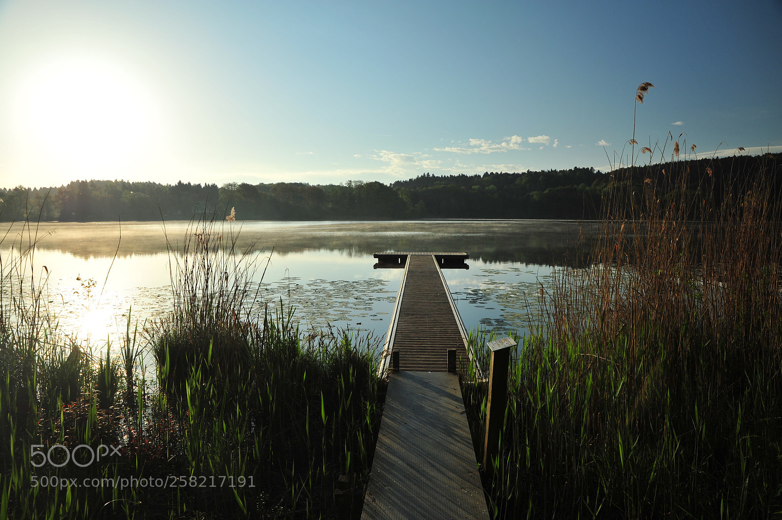 Nikon D700 sample photo. Untitled photography