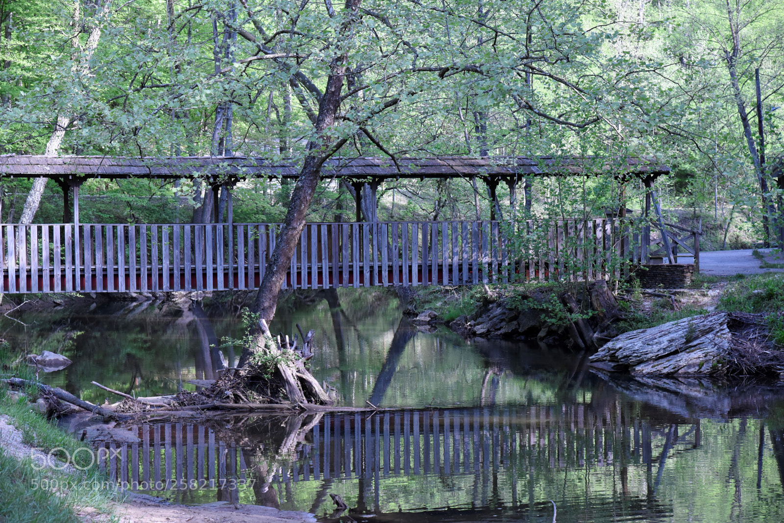 Nikon AF-S Nikkor 24-120mm F4G ED VR sample photo. Peaceful reflections photography