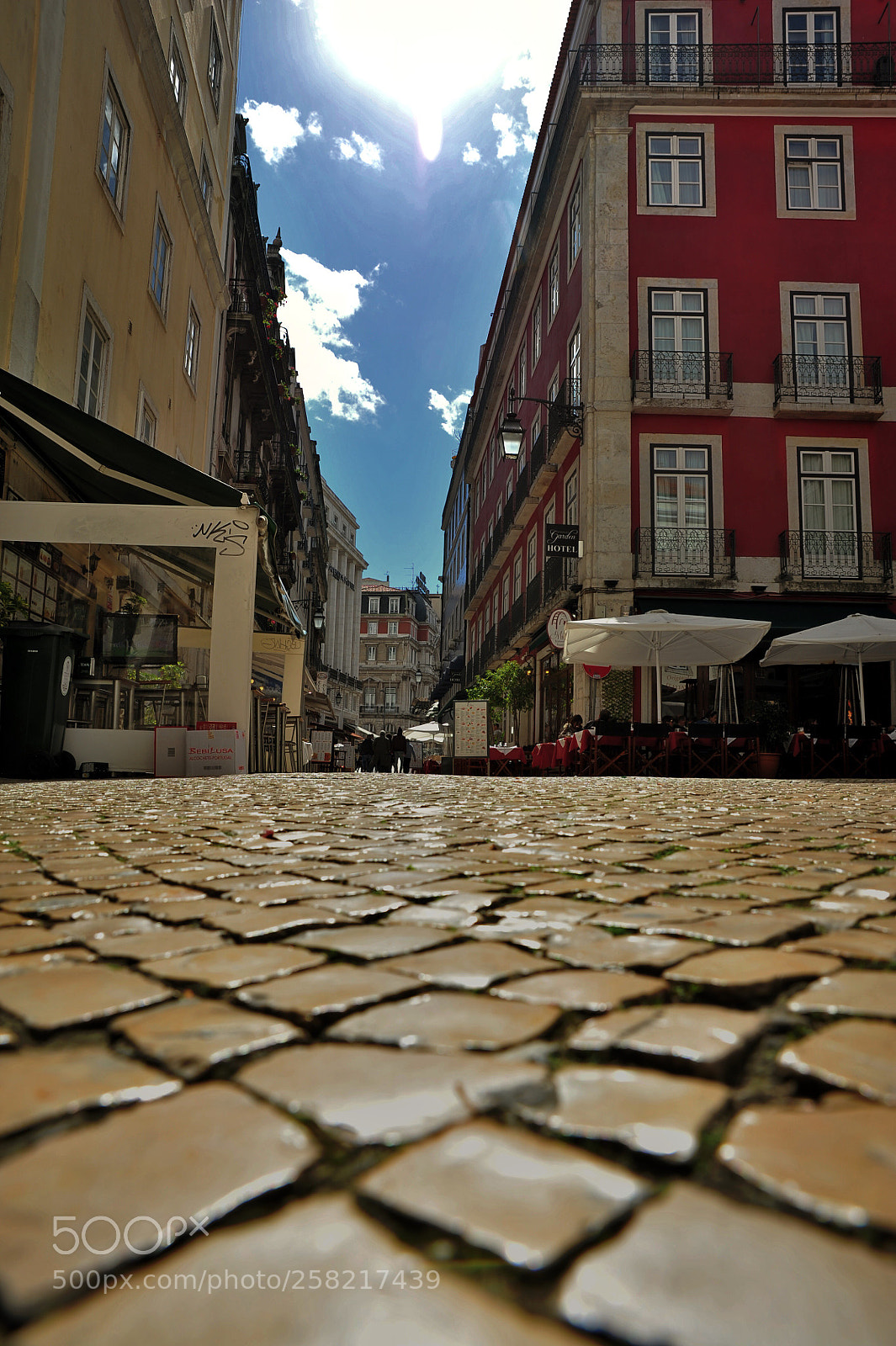 Nikon D700 sample photo. Untitled photography