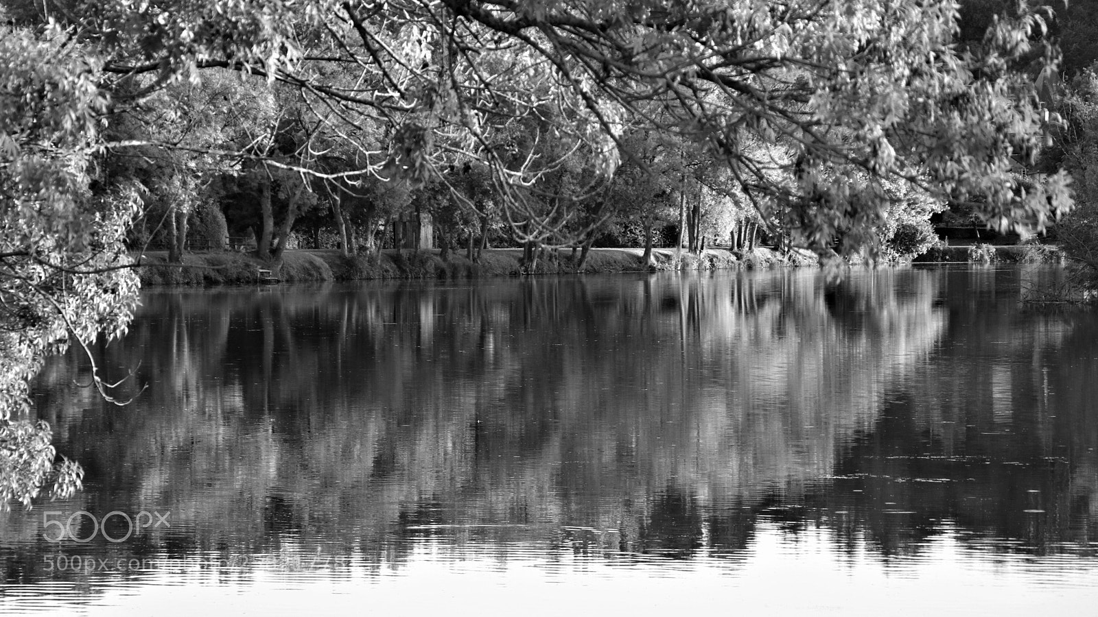 Canon EOS 80D sample photo. () photography