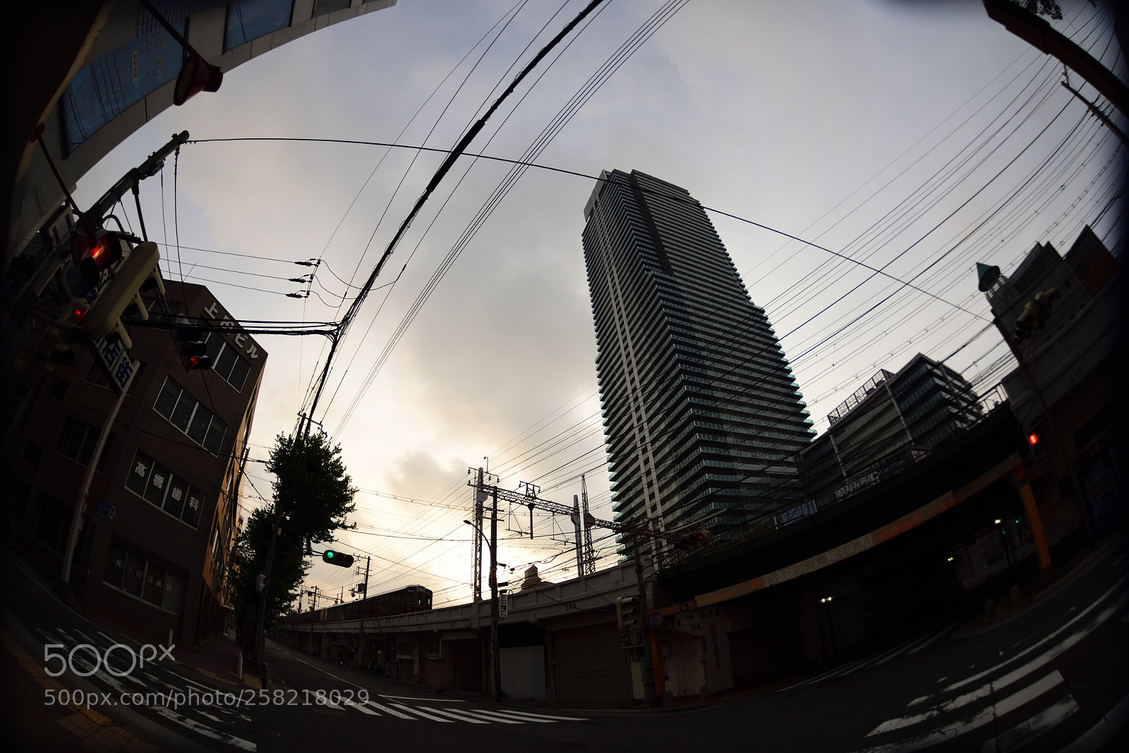 Nikon D750 sample photo. Local train photography