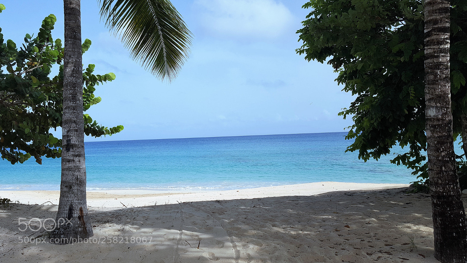 Samsung GALAXY S6 edge sample photo. Paradise photography