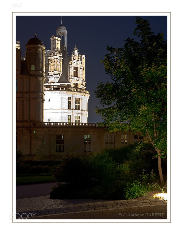Nikon D90 sample photo. Chambord photography