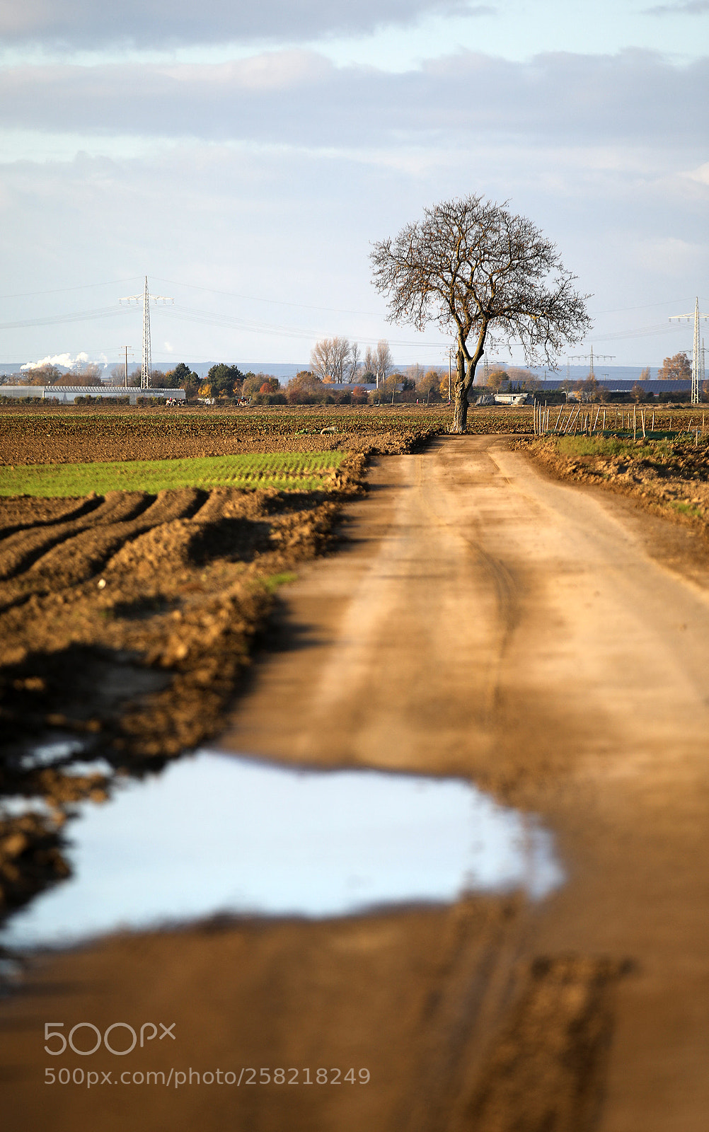 Canon EOS 5D Mark IV sample photo. The path photography
