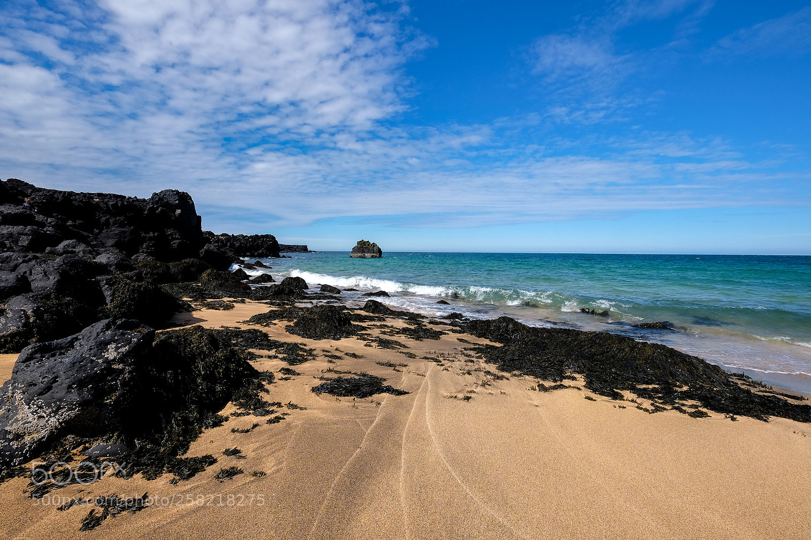 Fujifilm X-T1 sample photo. 2017_011.jpg photography
