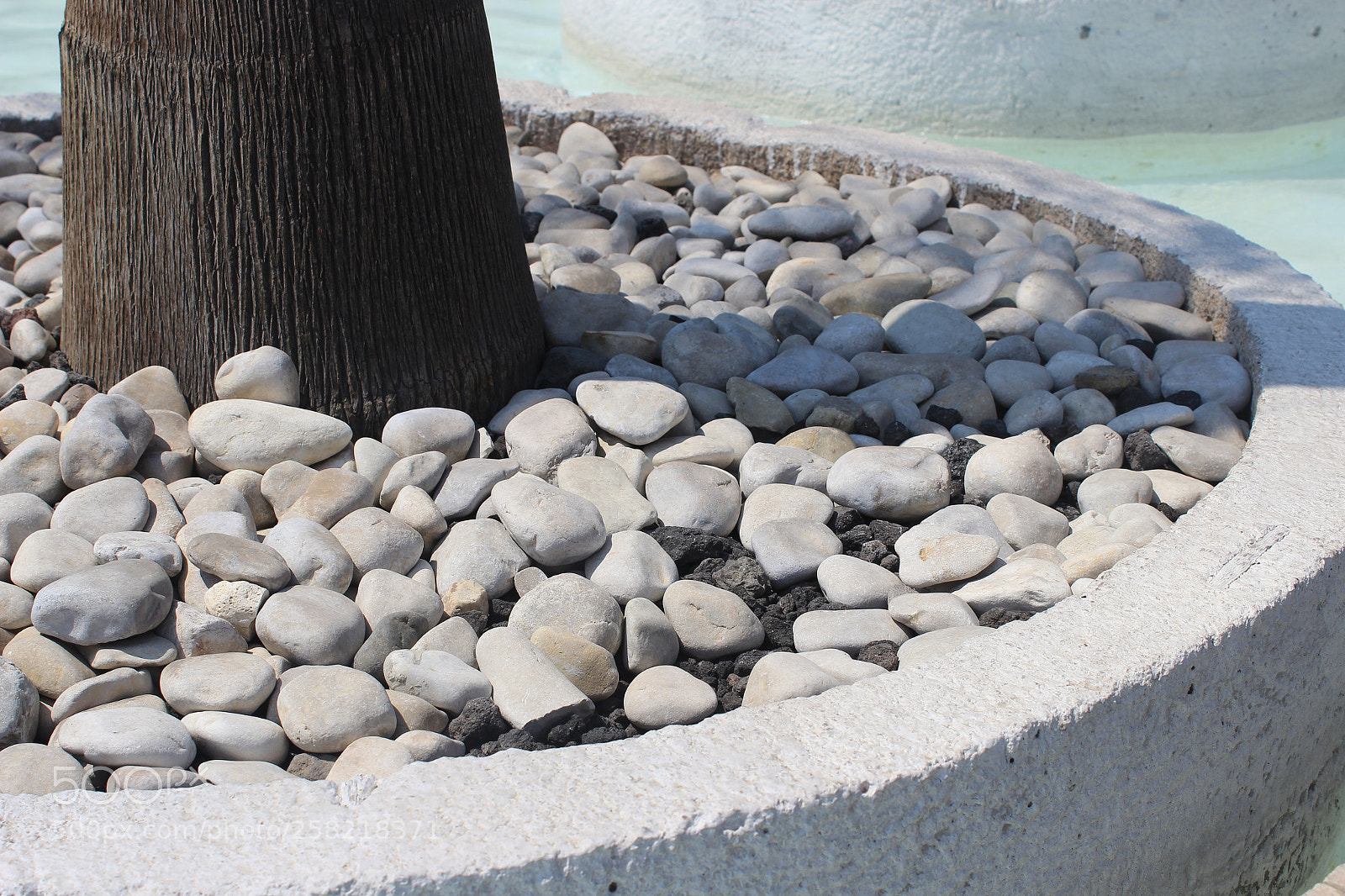 Canon EOS 600D (Rebel EOS T3i / EOS Kiss X5) sample photo. Img photography