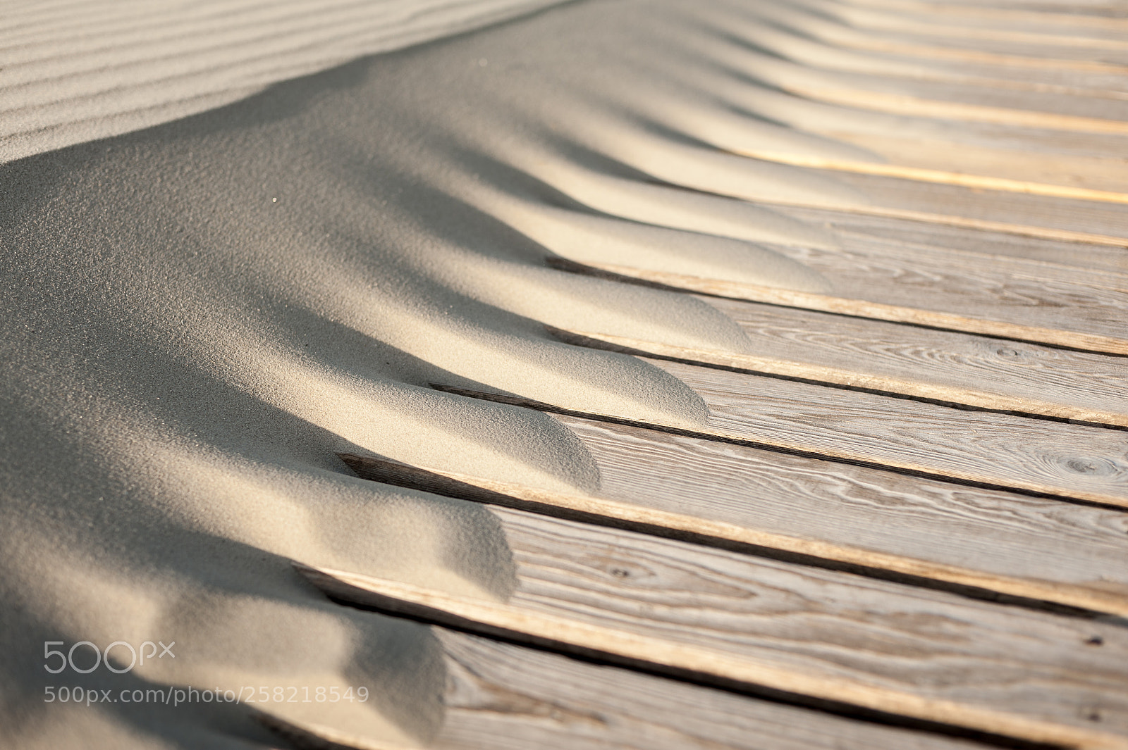 Nikon D700 sample photo. Sand photography