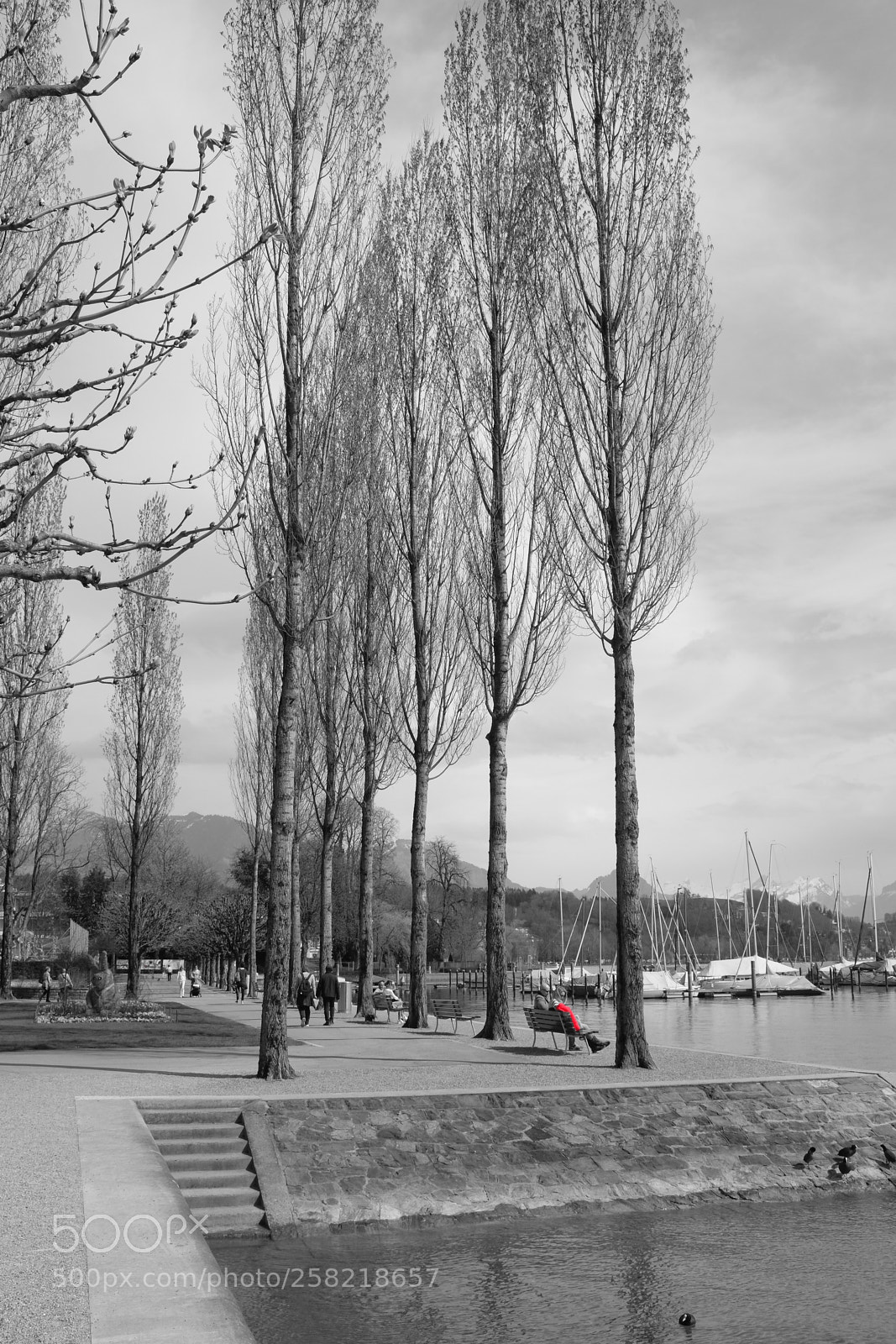 Fujifilm X100T sample photo. Lucerne photography