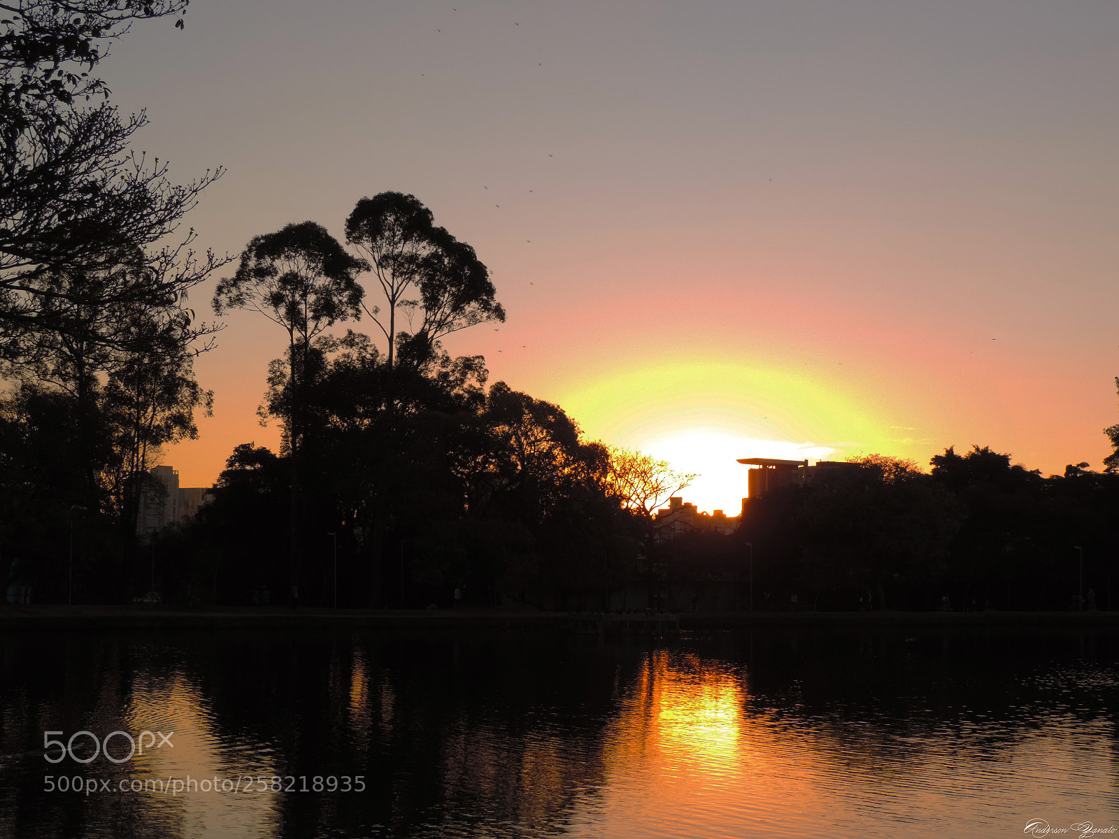 Nikon Coolpix P520 sample photo. Ibirapuera photography
