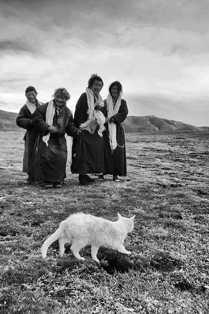 Canon EOS-1Ds Mark II sample photo. Tibetan nomands with white photography