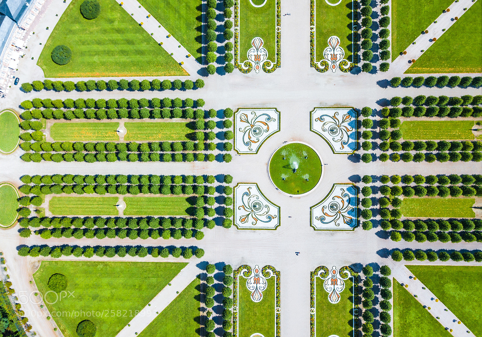 DJI FC220 sample photo. Royal photography
