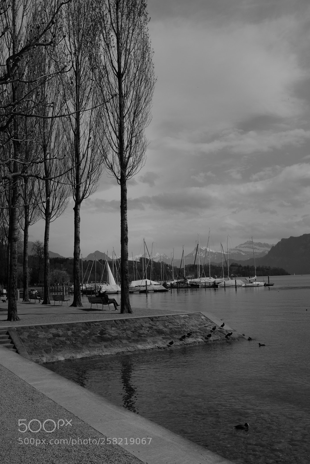 Fujifilm X100T sample photo. Lucerne photography