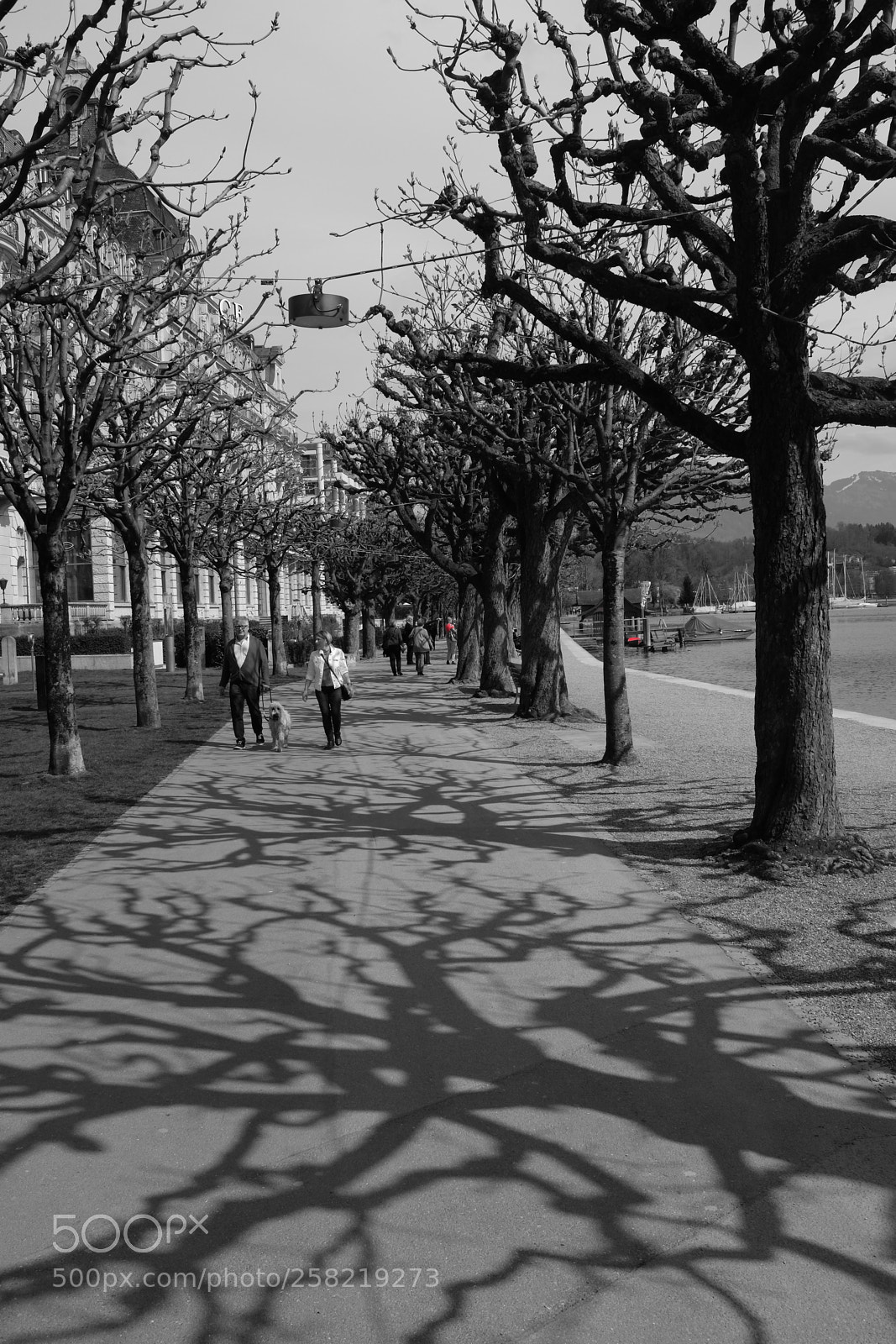 Fujifilm X100T sample photo. Lucerne photography