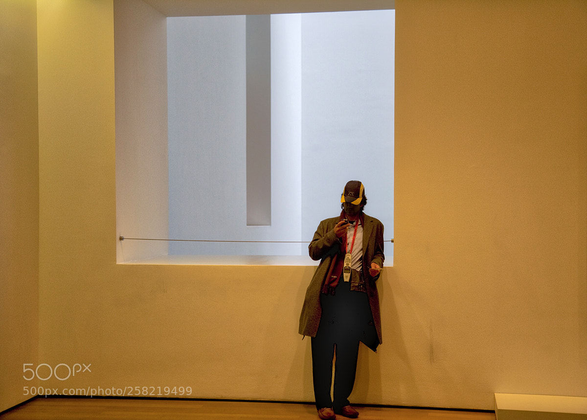 Canon EOS-1Ds Mark II sample photo. Moma photography