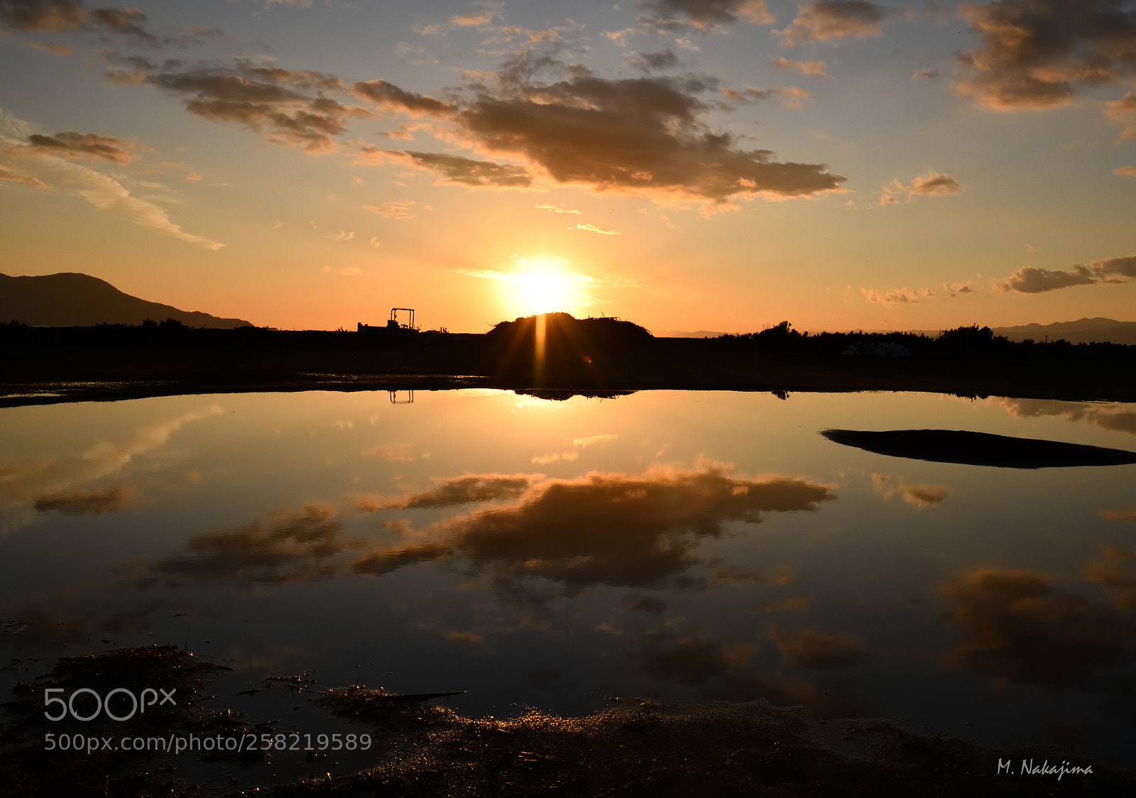 Nikon D850 sample photo. After the rain photography
