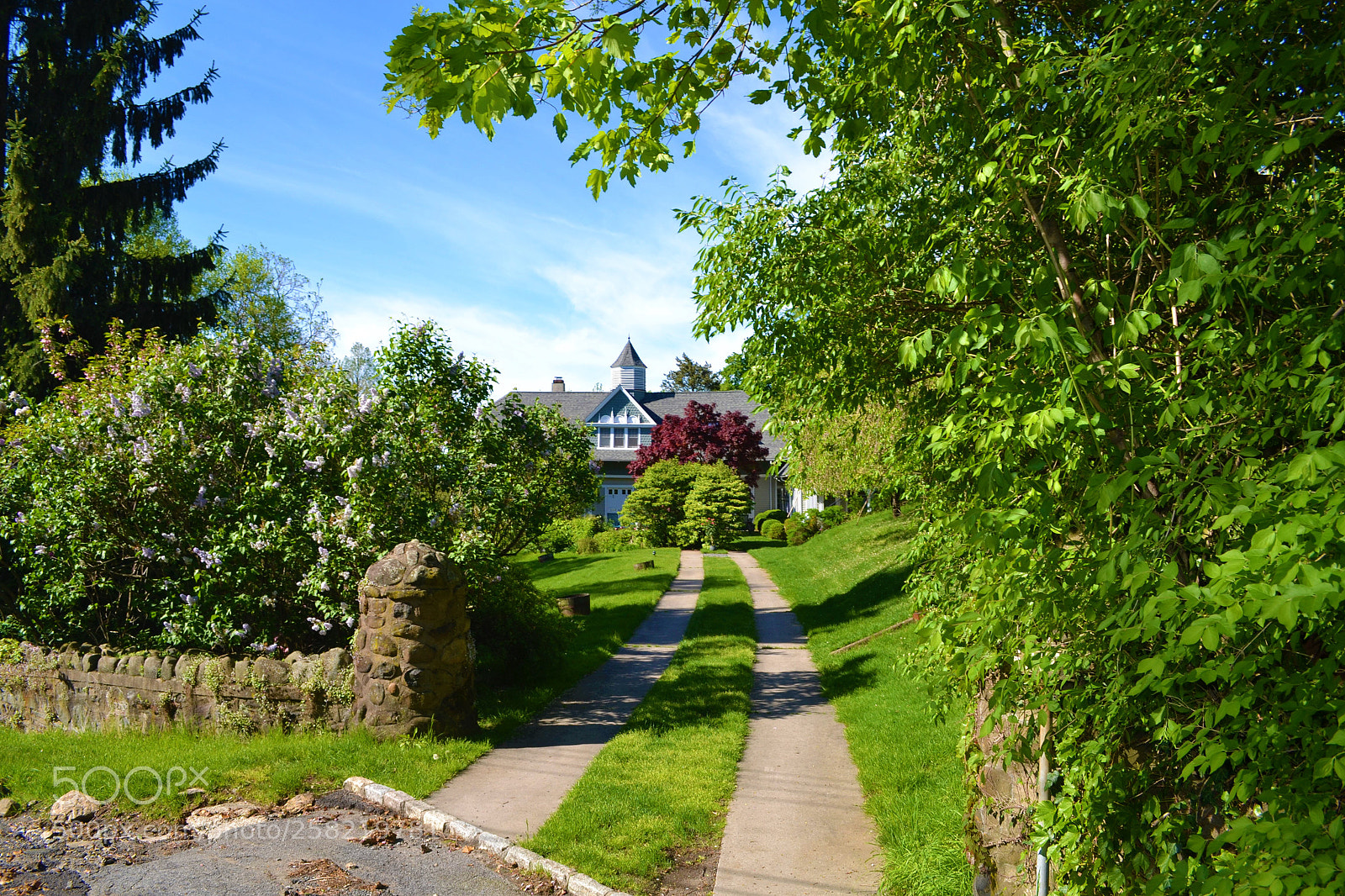 Nikon D3100 sample photo. Driveway leading to a photography
