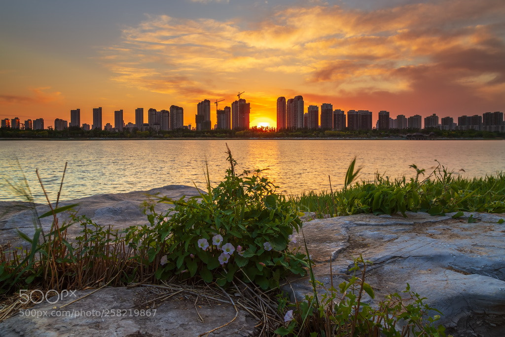Canon EOS 6D Mark II sample photo. Sunset photography