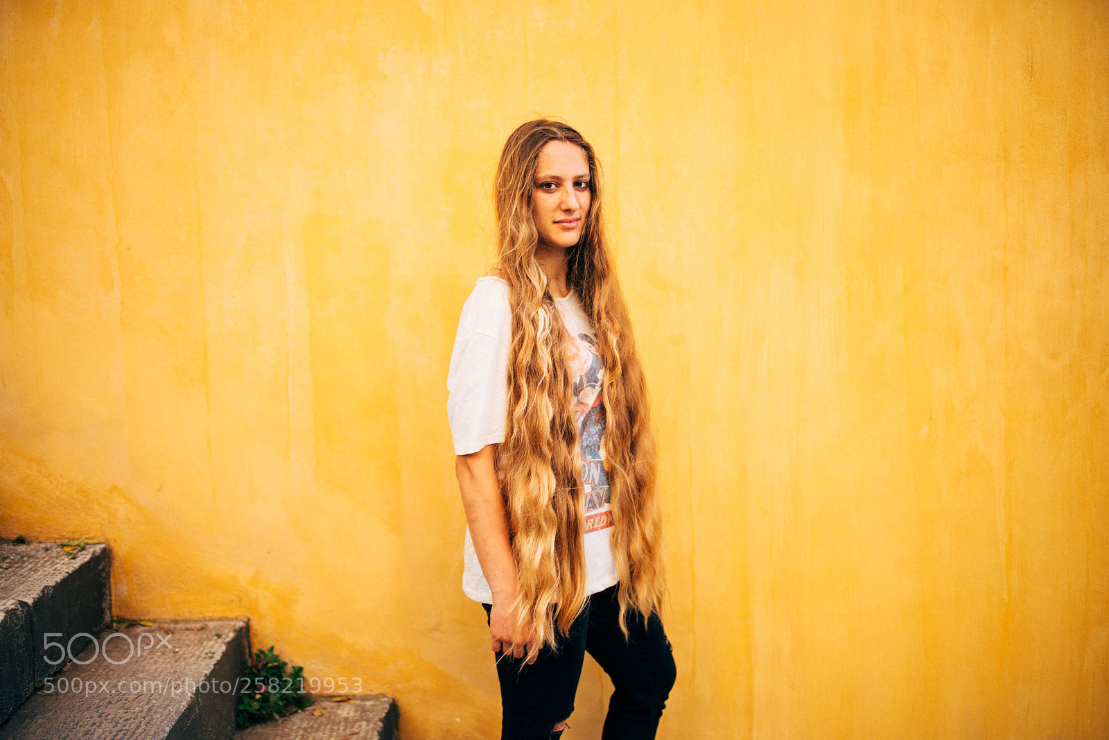 Sony a7R II sample photo. Dsc02562.jpg photography