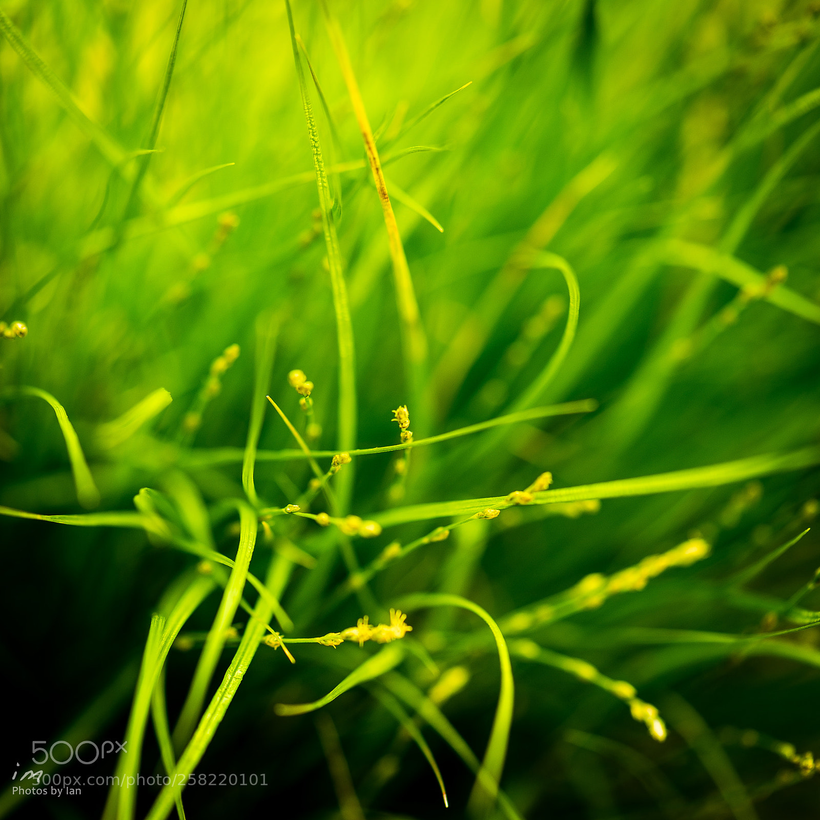 Nikon D610 sample photo. Untitled photography
