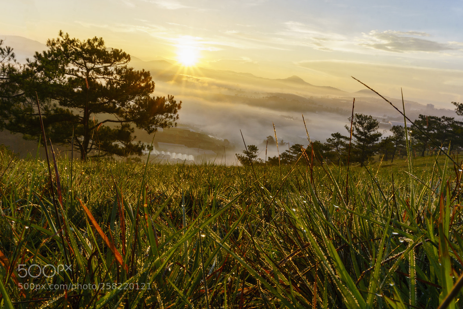 Sony a6000 sample photo. Dsc photography