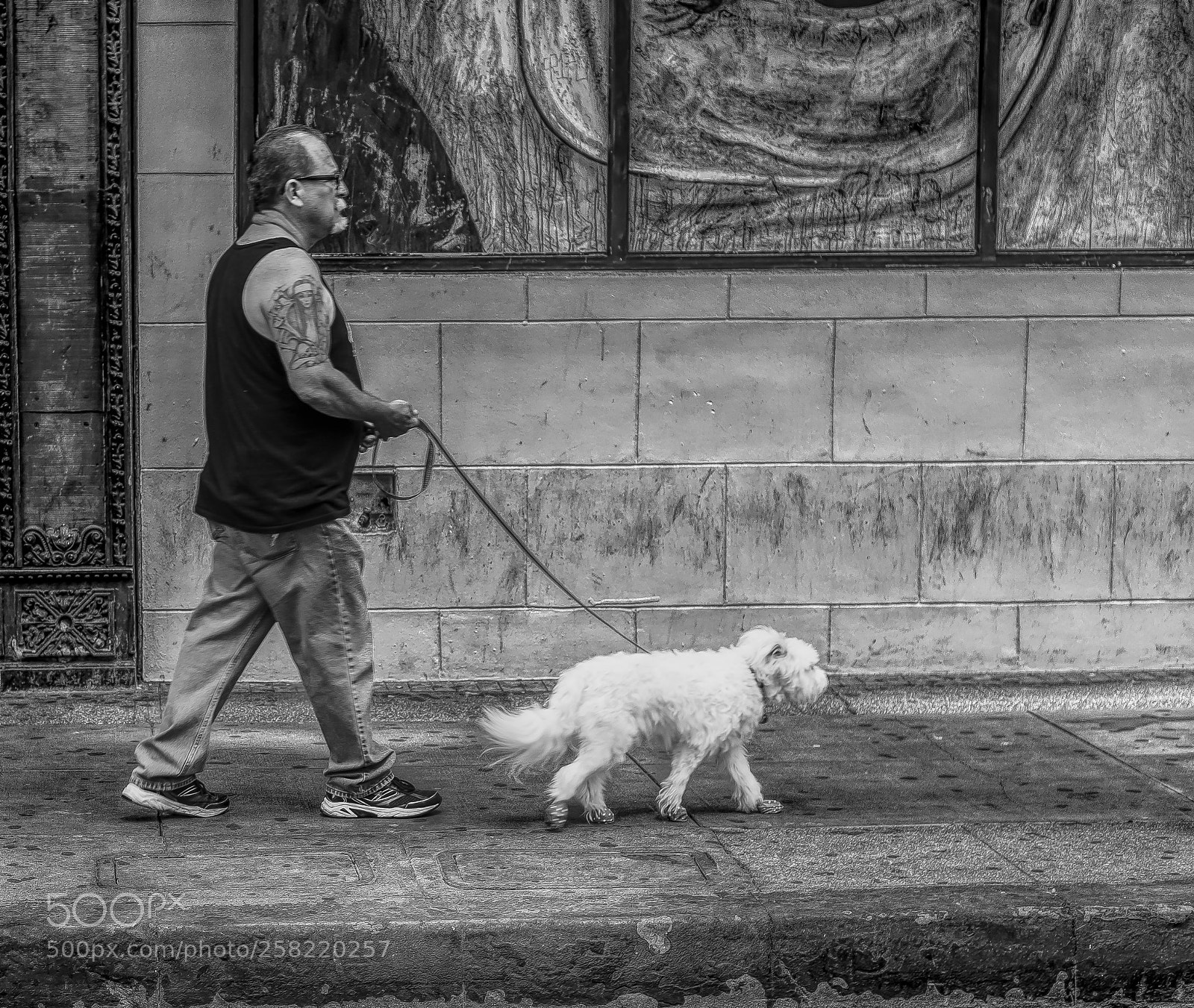 Sony SLT-A99V sample photo. "man walking dog" photography