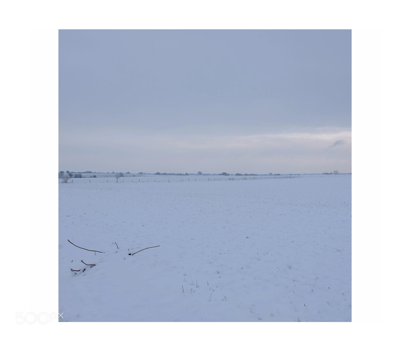 Fujifilm X-M1 sample photo. Snow photography